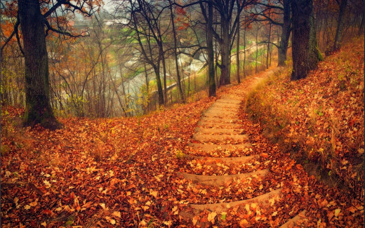 880441 (a): :1920x1200